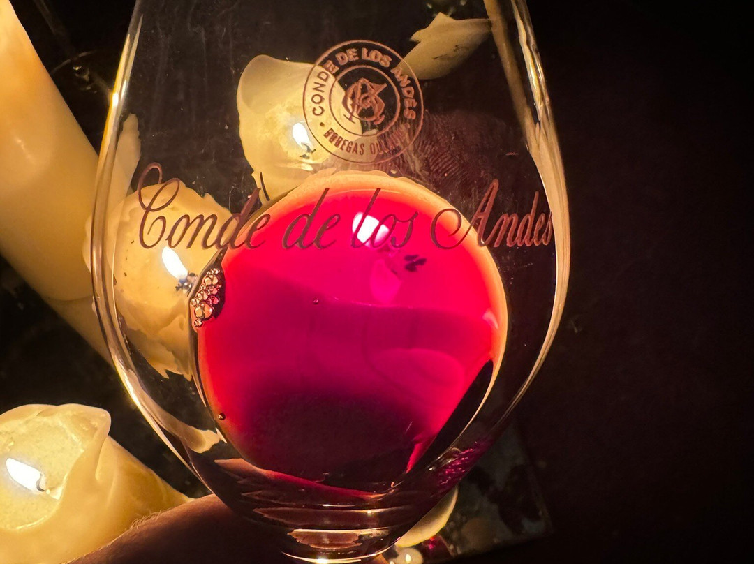 Wine Tours From Madrid-马德里必去景点