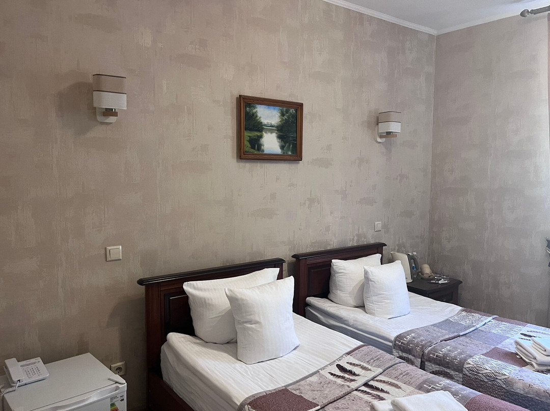 Centralnyi Hotel主图