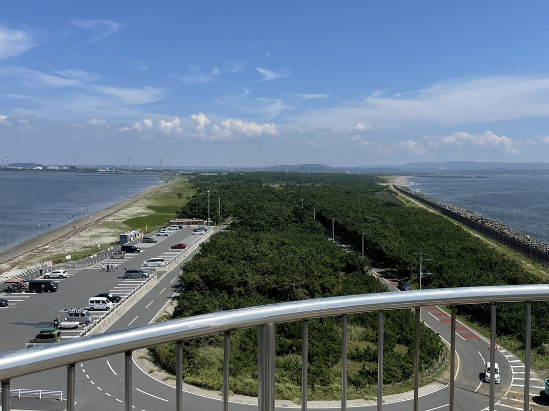 Meiji 100 Year Anniversary Observation Tower景点图片