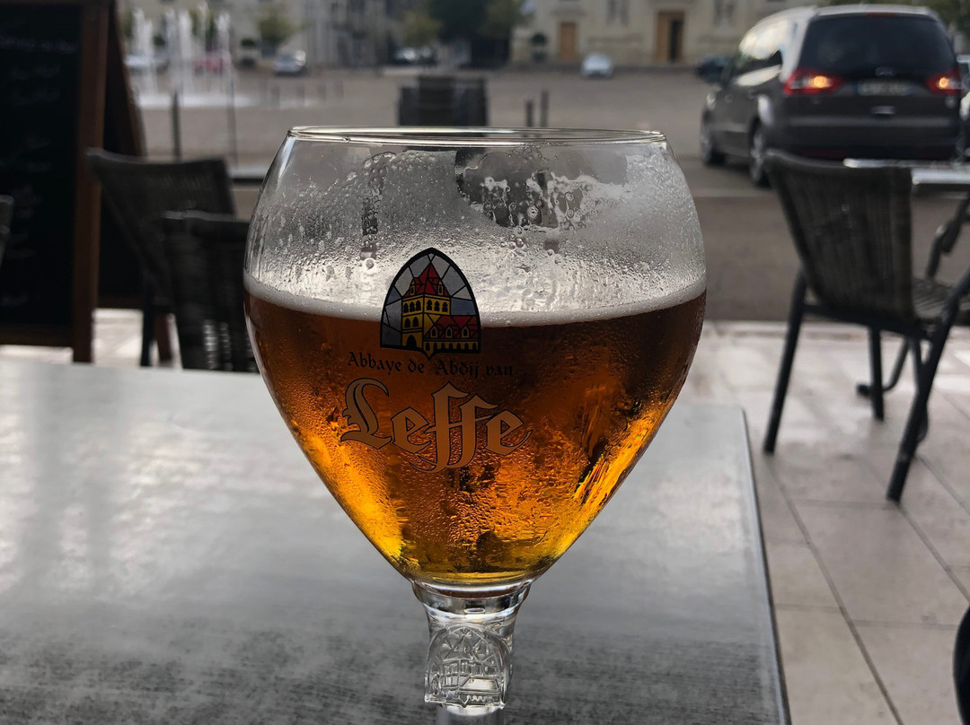 Logis Hôtel le Puits Doré主图