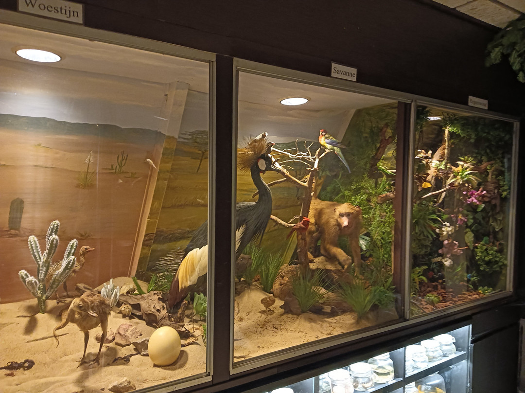 Artisklas-哈勒姆必去景点