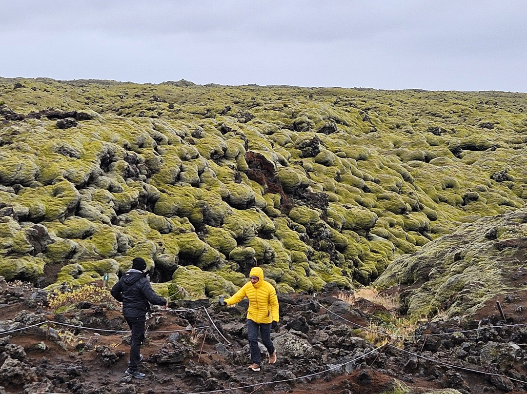 Eldhraun Lava Field景点图片
