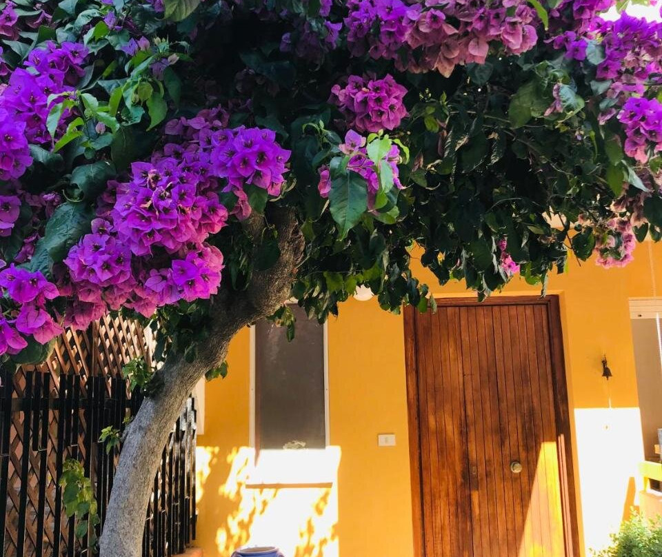 Le Stanze Di Botticelli主图