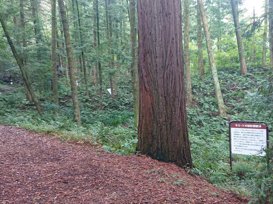 Botanical Gardens Faculty of Science Osaka City University-交野市必去景点