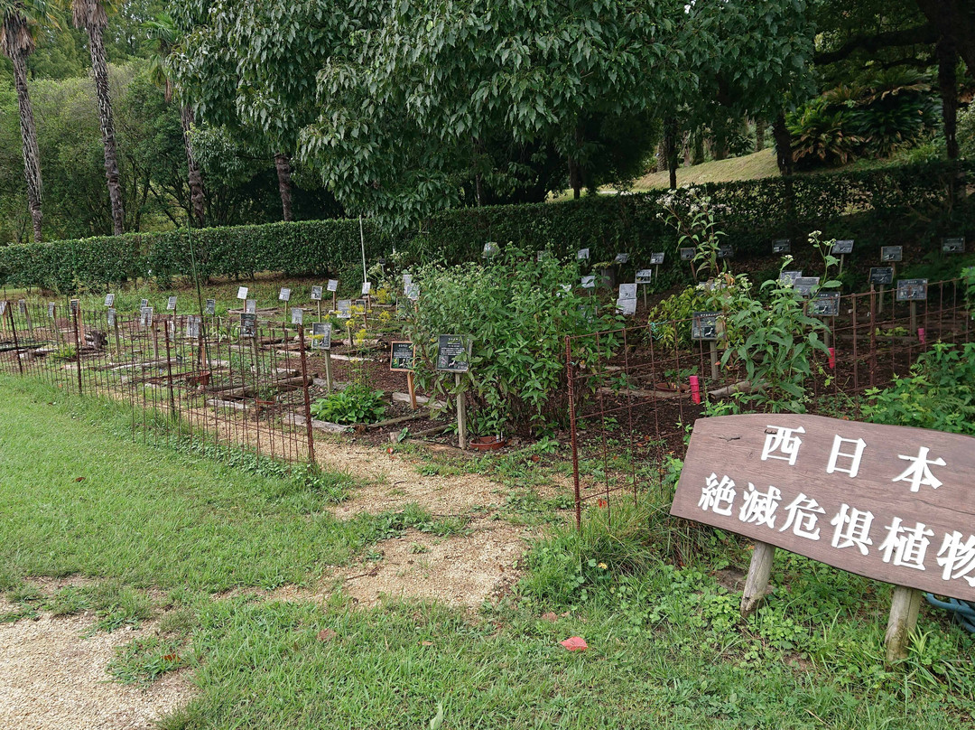 Botanical Gardens Faculty of Science Osaka City University-交野市必去景点