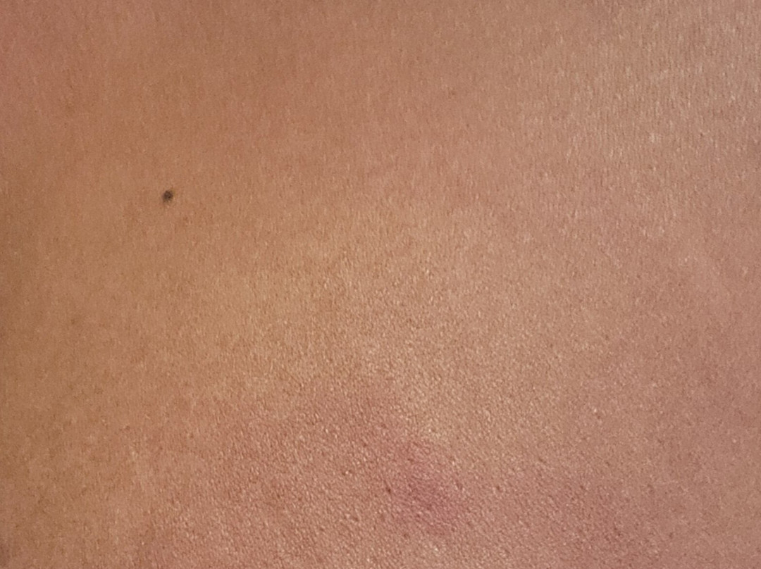 Homewood Suites By Hilton Sarasota主图