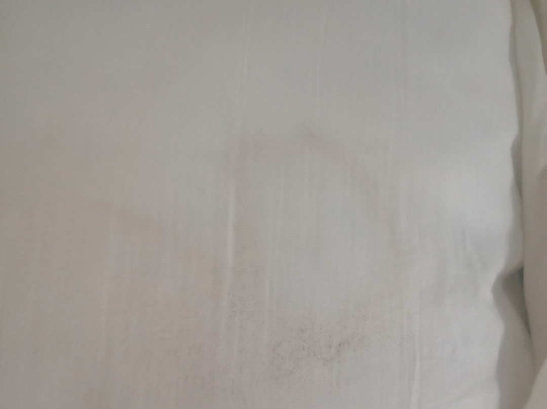 Red Roof Inn Bay Minette主图