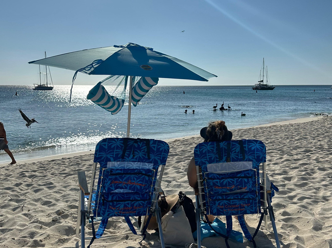 Coconut Rentals Aruba-棕榈/鹰海滩必去景点