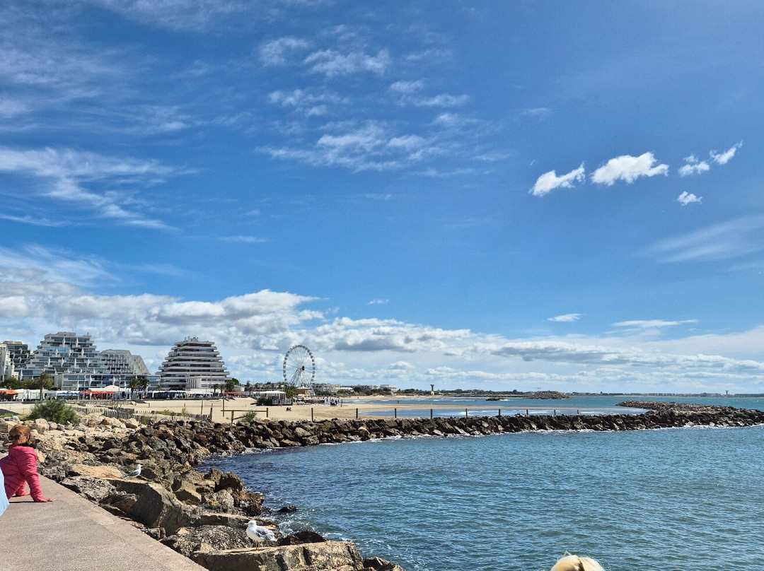 Plage du Grand Travers景点图片