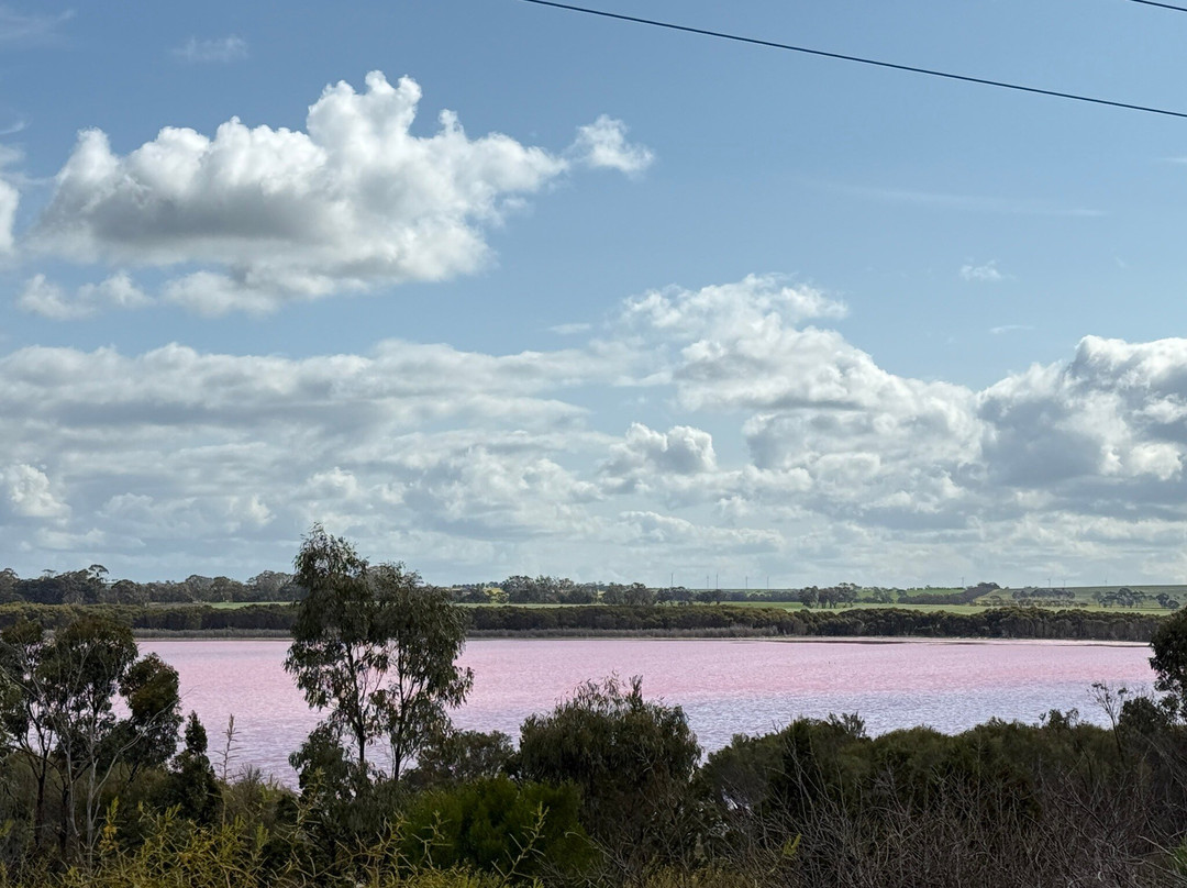 Pink Lake景点图片