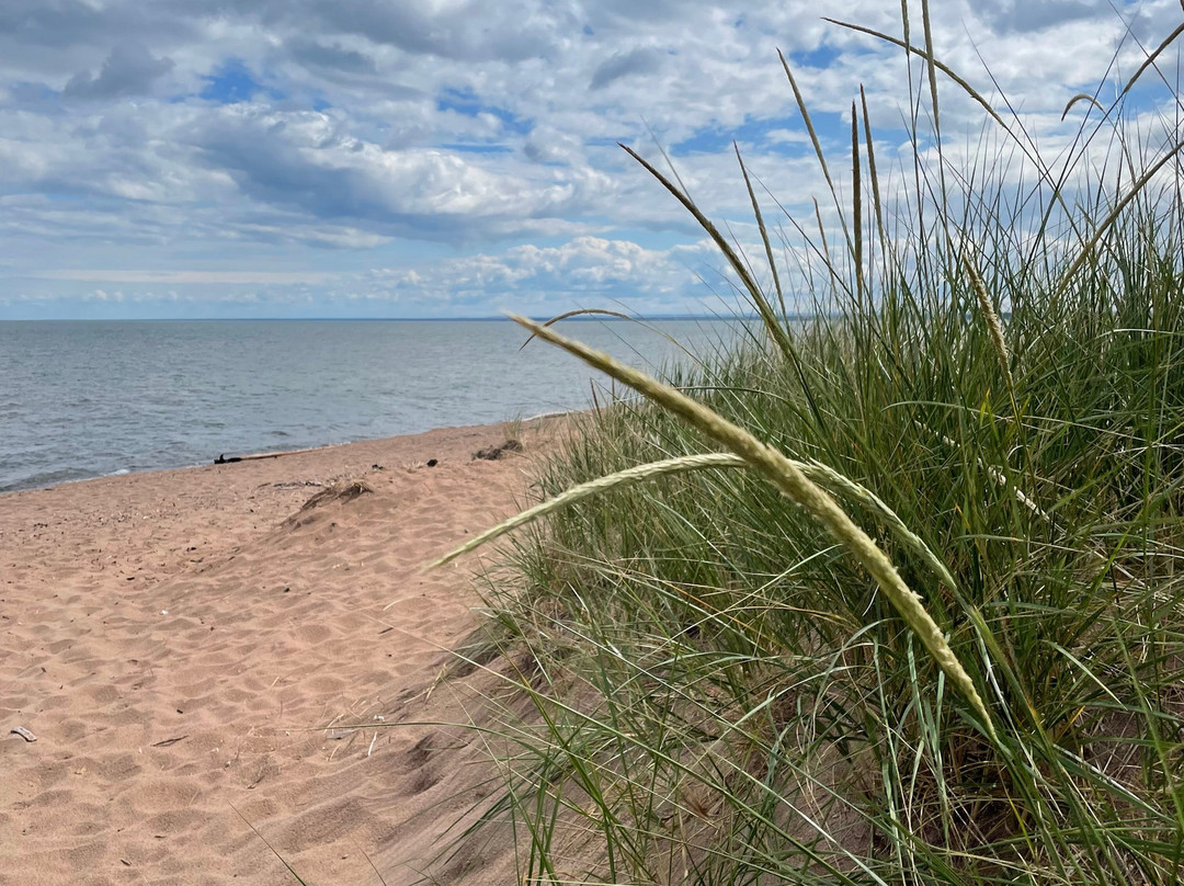 Park Point-德卢斯必去景点