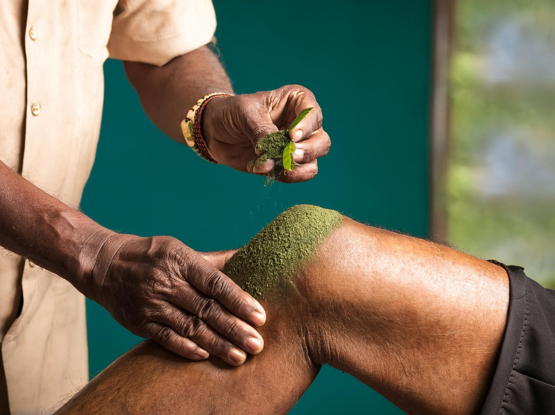 Vedanjana - Yoga Ayurveda Retreat & Wellness Centre In Rishikesh景点图片