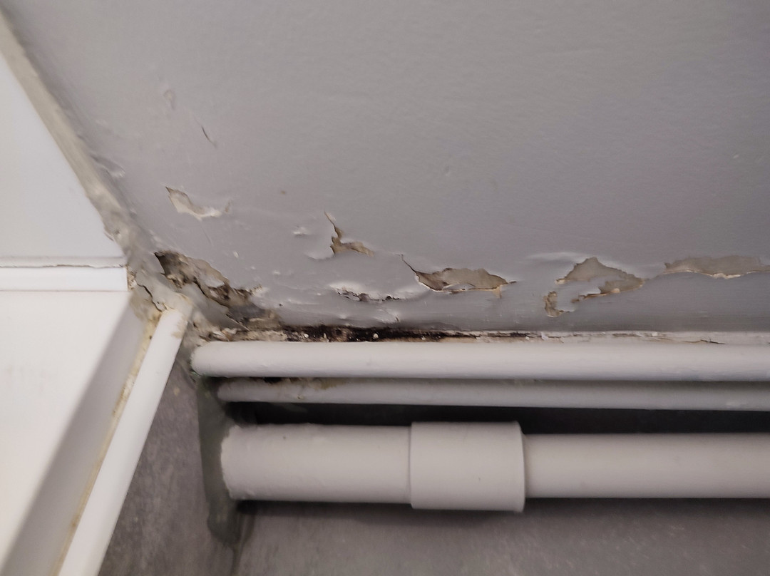 Le Clos St Eloi主图