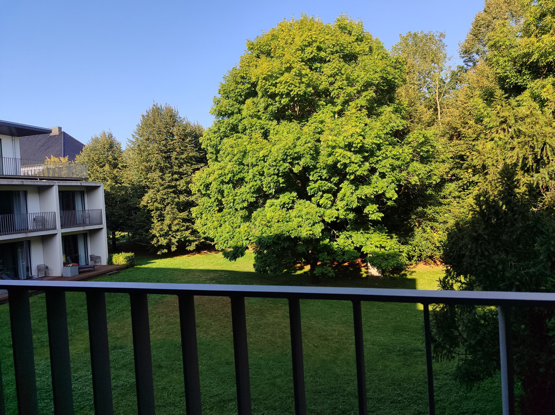 Schlossgut Gross Schwansee主图
