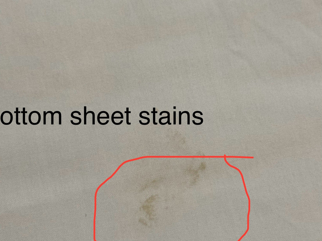 Holiday Inn Express & Suites Raton by IHG主图