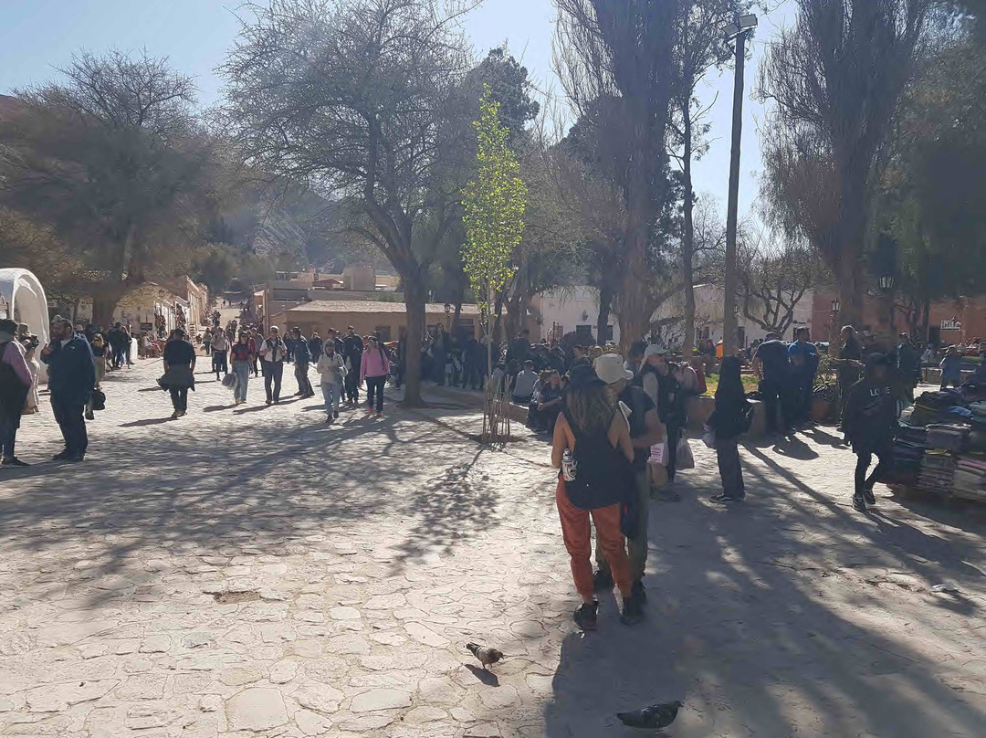 Plaza 9 de Julio-普尔马马尔卡必去景点