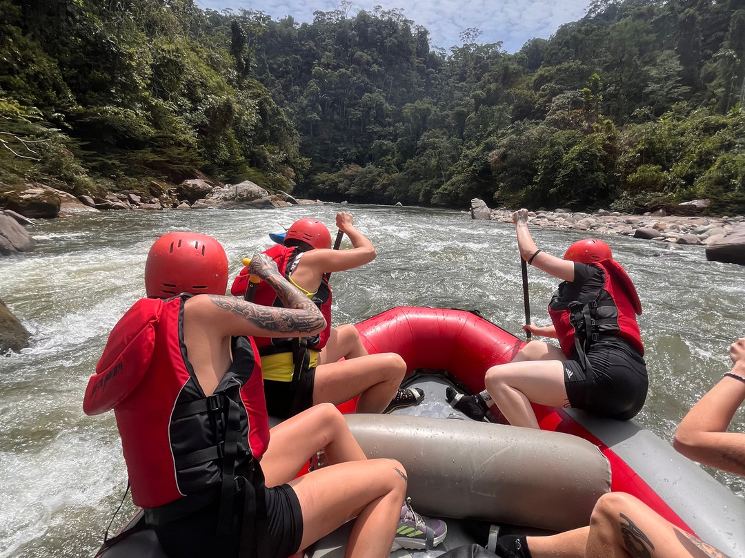 Amayas Ayahuasca Ecuador-Cotundo必去景点