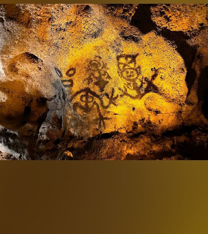 Excursionsrus-蓬塔卡纳必去景点