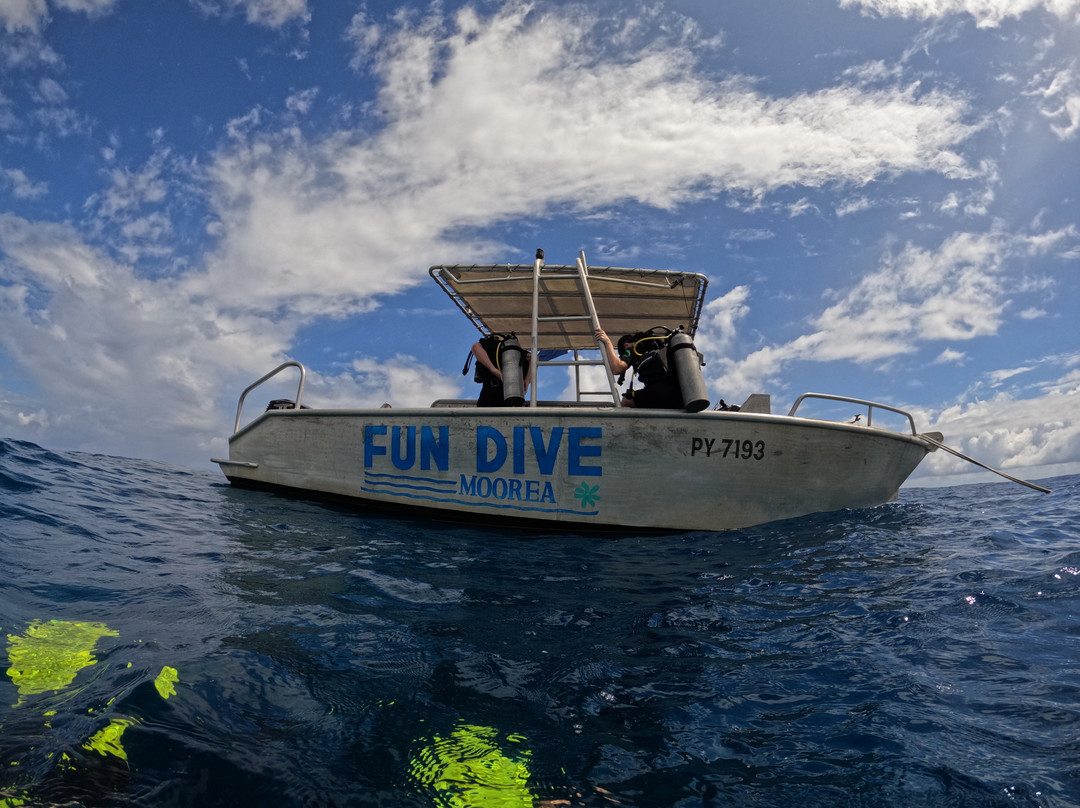 Moorea Fun Dive-Hauru必去景点