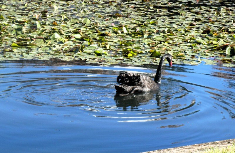 皇后花园-珀斯必去景点
