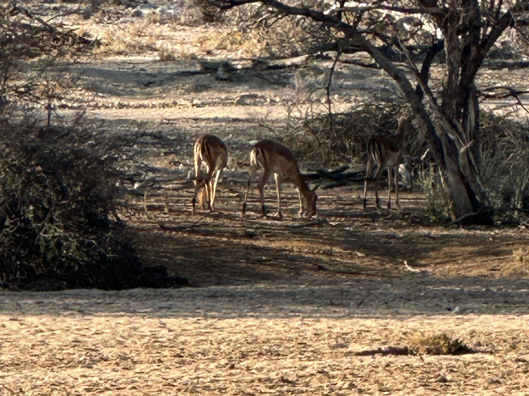 Epako Safari Lodge & Spa主图