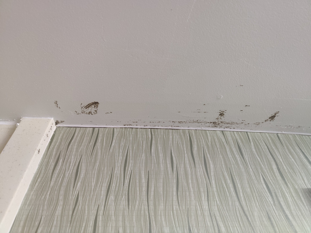 Hampton Inn Hinesville主图