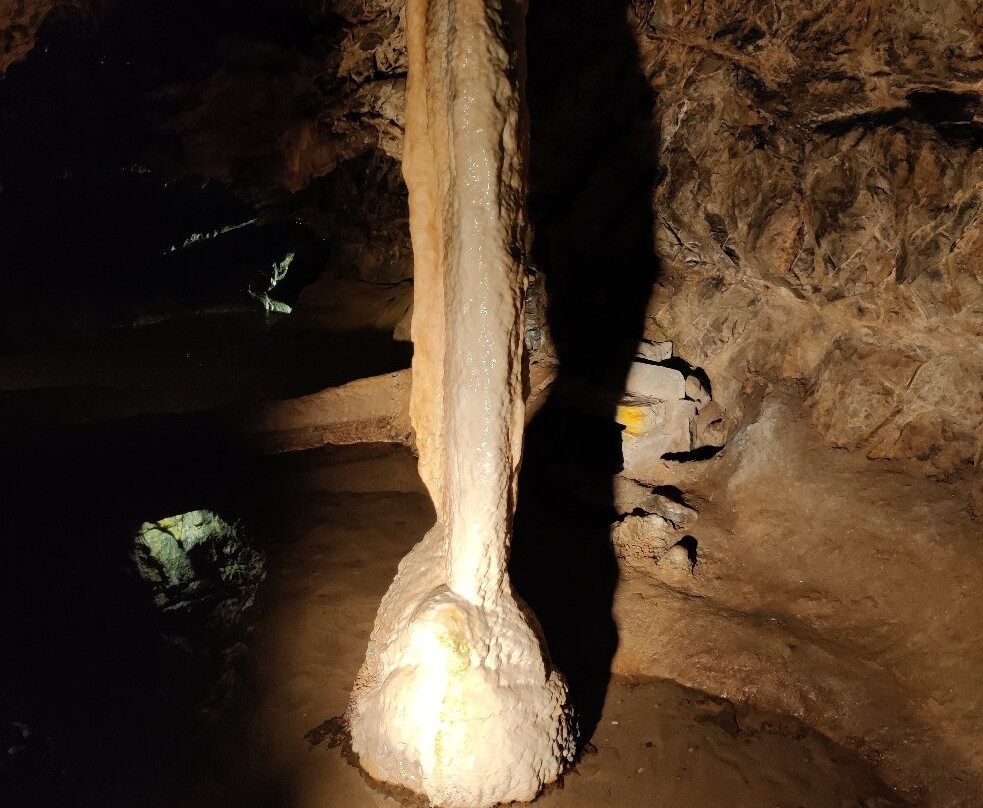 The National Showcaves Centre for Wales景点图片