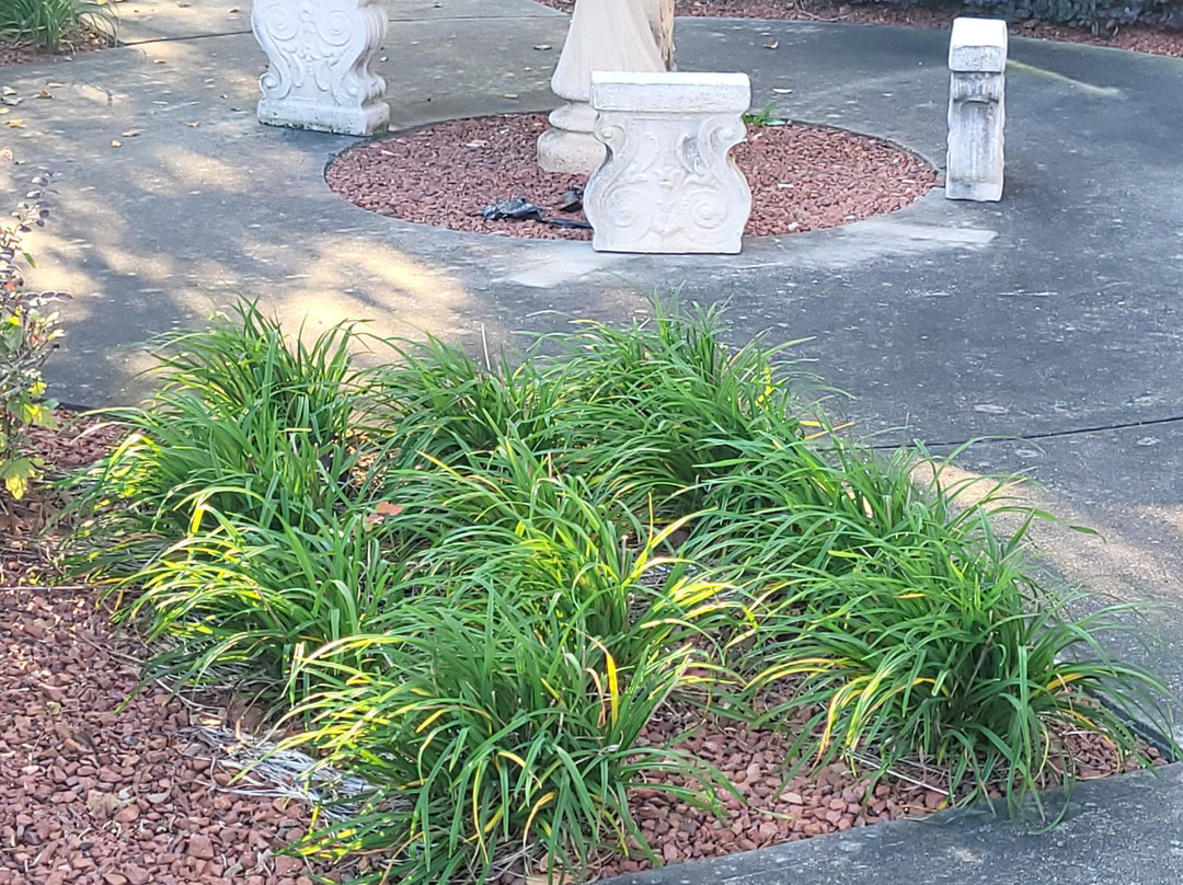 Comfort Suites Rock Hill Manchester Meadows Area主图