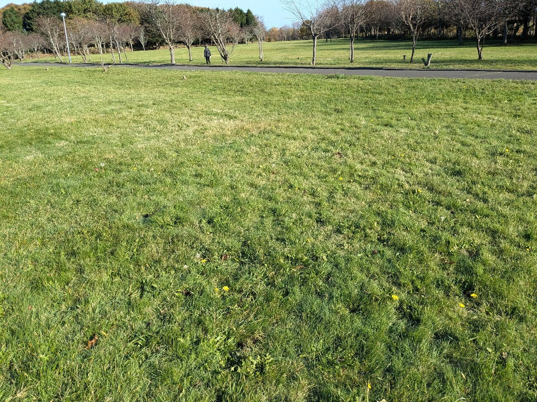 Meiji Park-根室市必去景点
