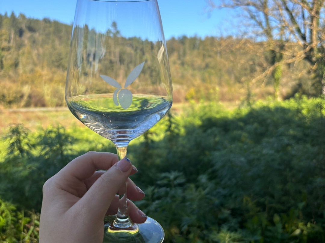 Inserrata Winery Organic Farm-圣米尼亚托必去景点