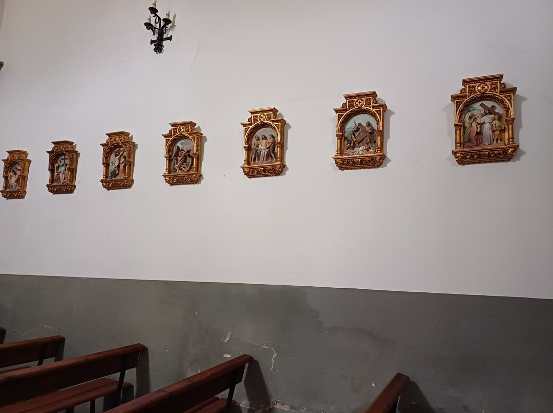 Iglesia Colegiata de San Salvador景点图片