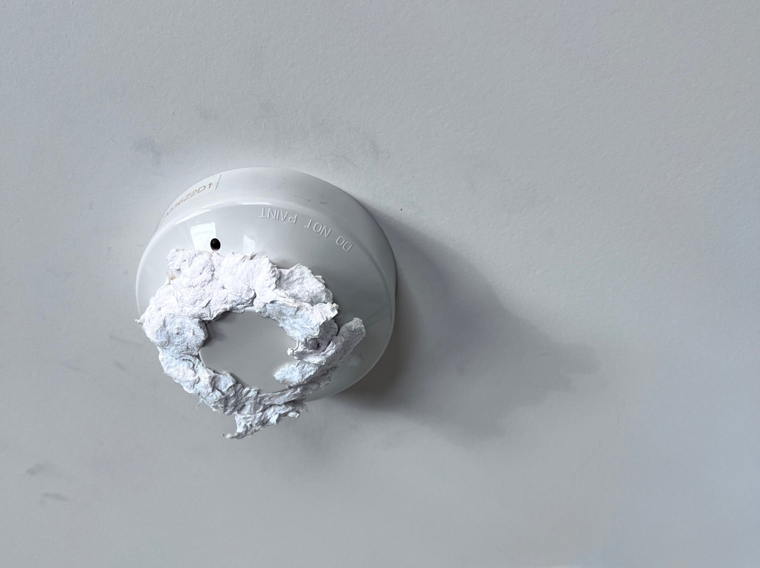 Ellerslie Palms Motel主图