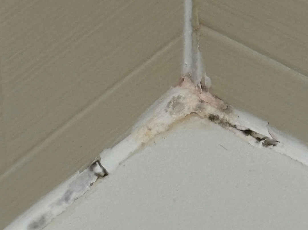 AmericInn by Wyndham Albert Lea主图