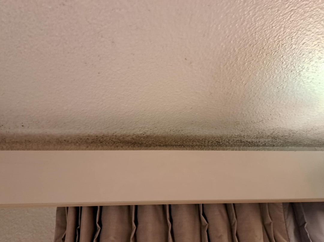 B&b Hotel Niort Sud Venise Verte主图