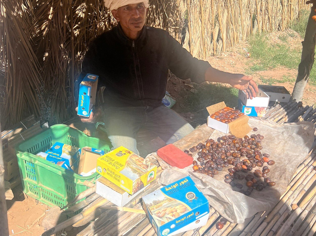 Maroc Experience - Day Tours-瓦尔扎扎特必去景点