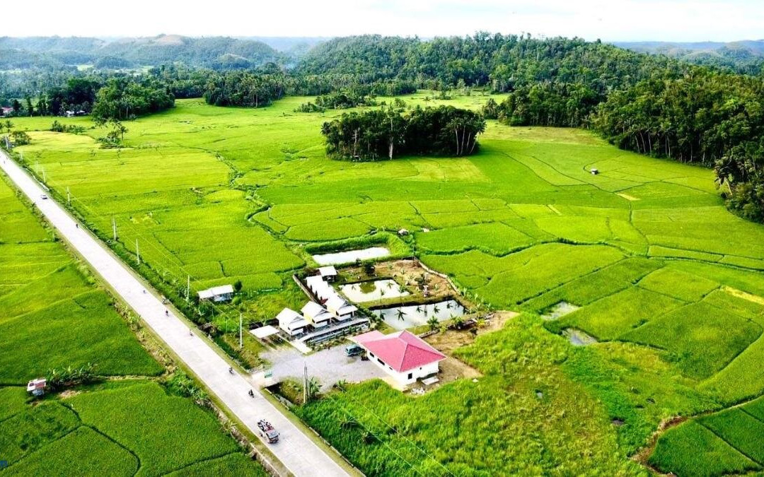 巴端薄荷岛爵士农场旅馆