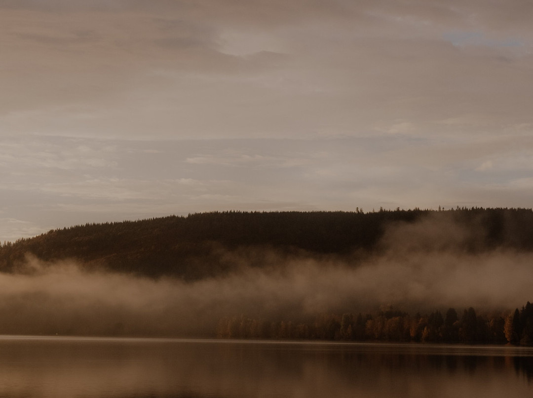 Hotel Auerhahn主图