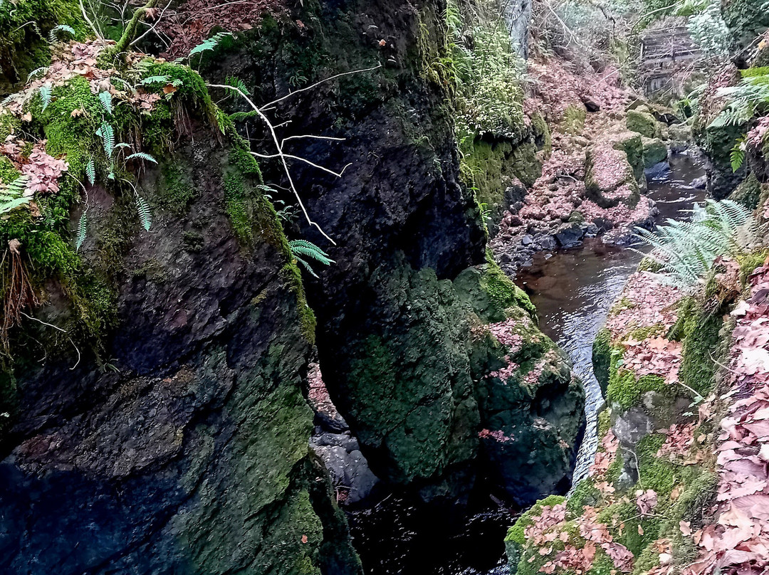 Rumbling Bridge Falls-Dunkeld必去景点