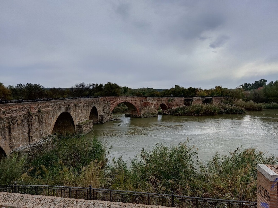 Puente Romano景点图片