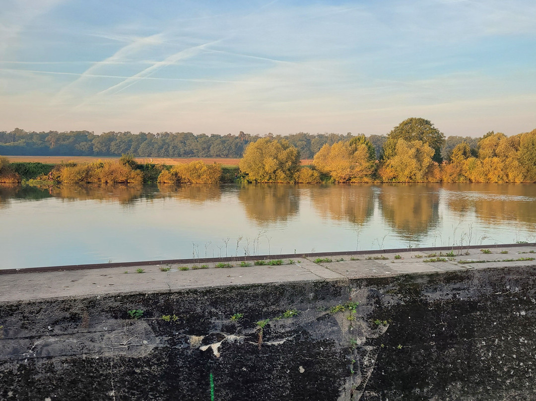 Rhine–Main–Danube Canal-班贝格城必去景点