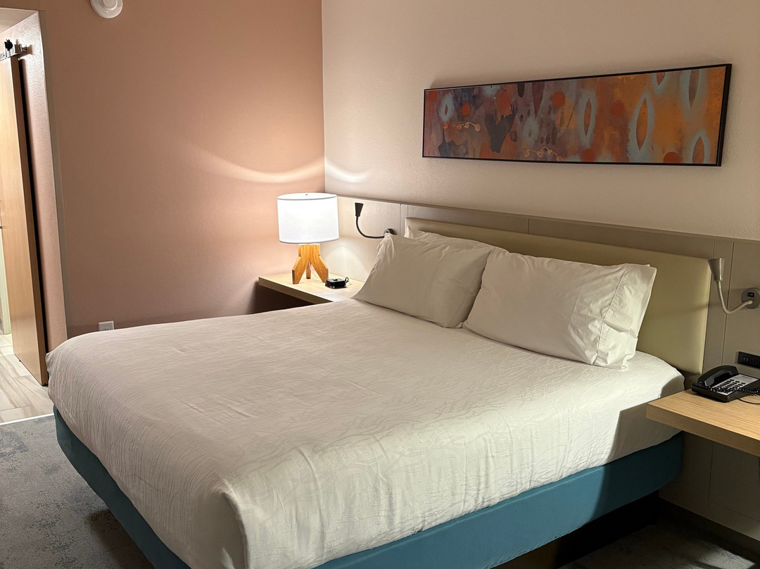 Hilton Garden Inn Manassas主图