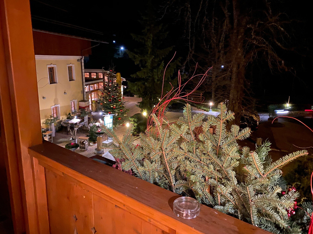 Hotel Restaurant Zollner主图