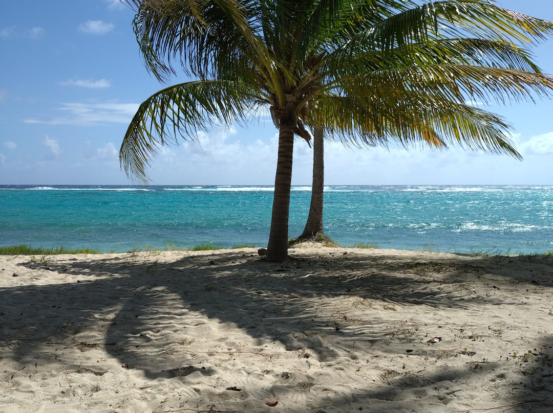 Feuillere Beach-Capesterre必去景点