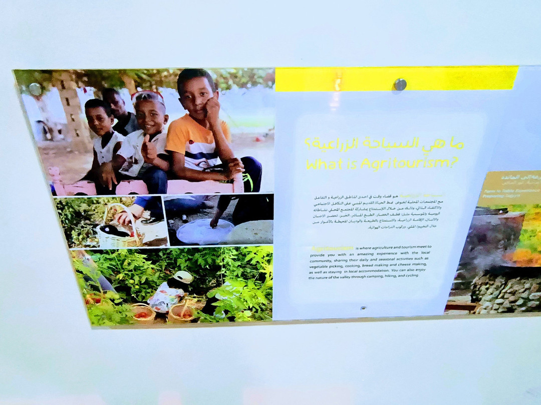 Safi Kitchen hostel主图