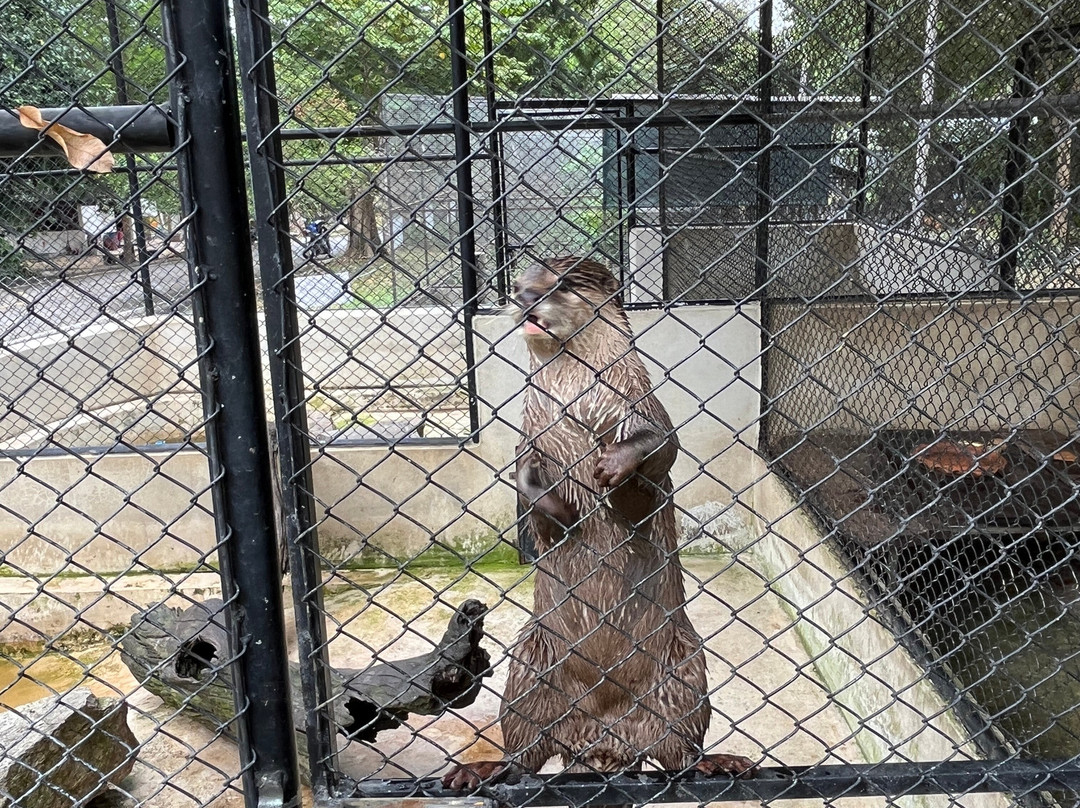 Huai Sai Wildlife Breeding Center景点图片