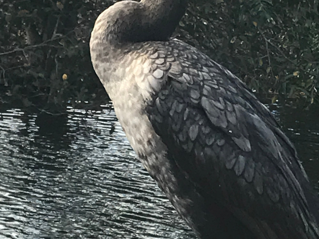 Delray Public Beach-德拉海滩必去景点