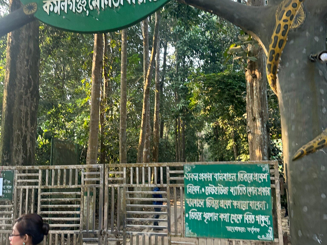 Lawachara National Park景点图片
