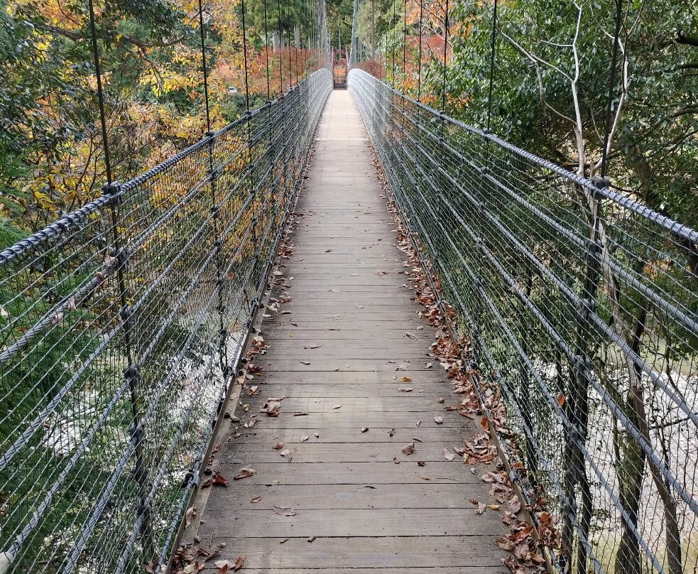 Tara Canyon-大垣市必去景点