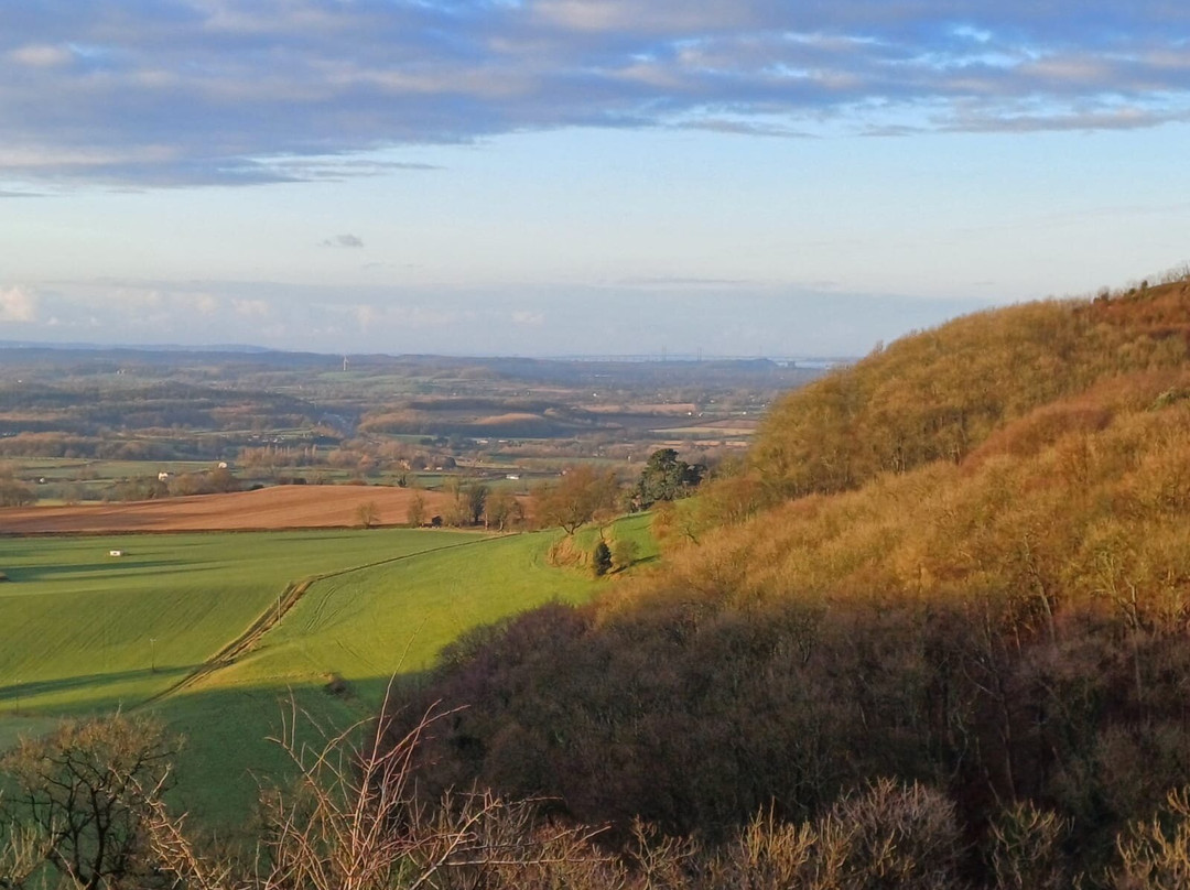 The Swan Hotel主图