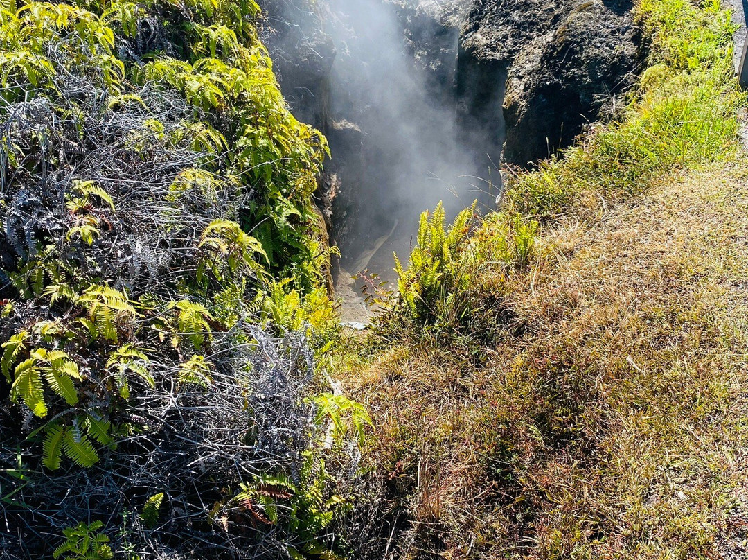 O.k. Farms (the Farm At Rainbow Falls)景点图片